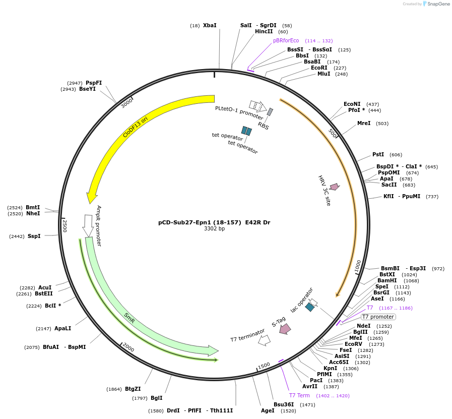 163469_map