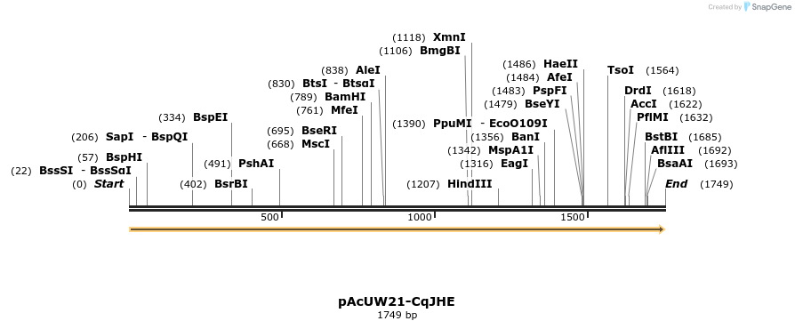 163471_map