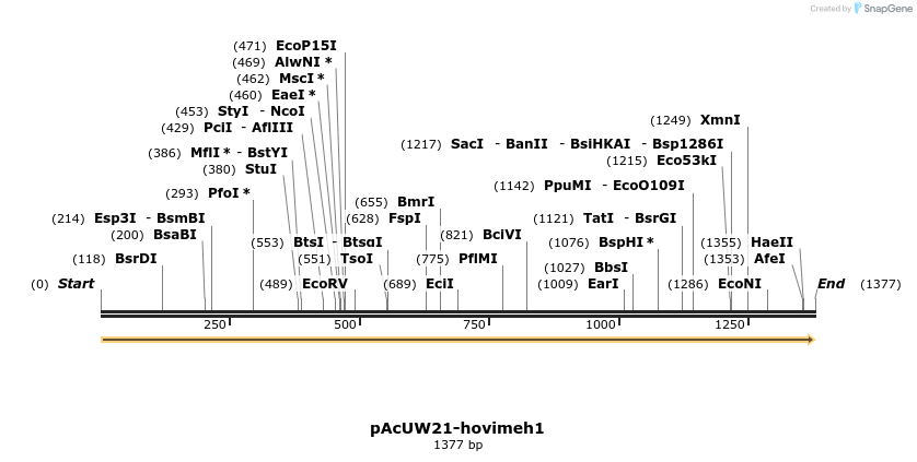 163480_map