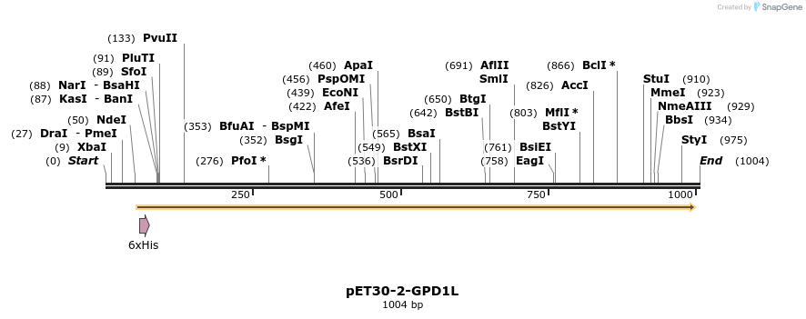 163481_map