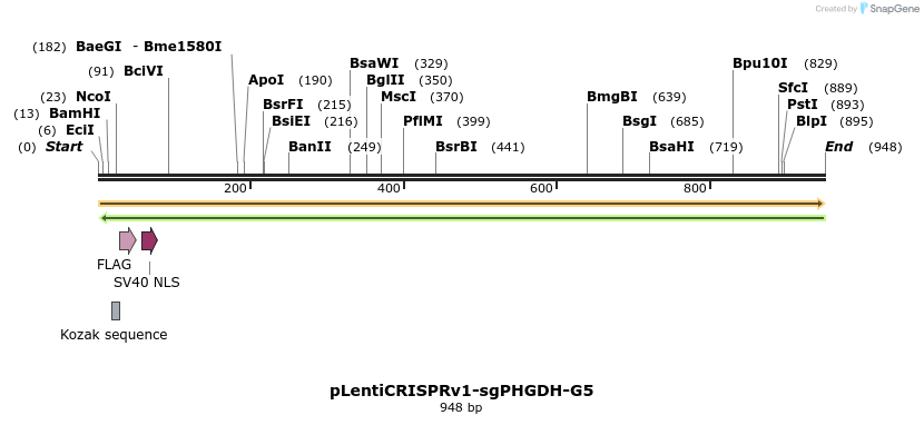 163491_map