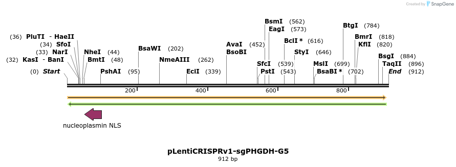 163492_map