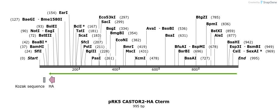 163529_map