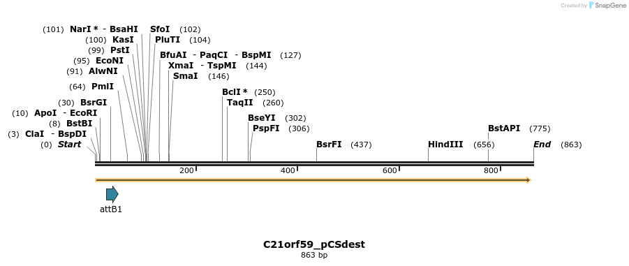 163574_map