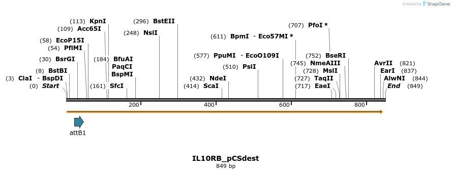 163581_map