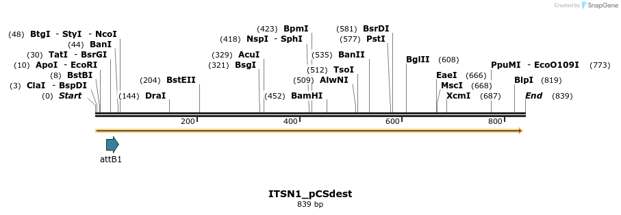 163587_map