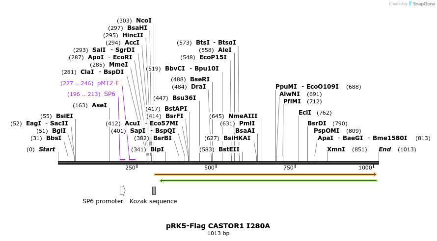 163590_map