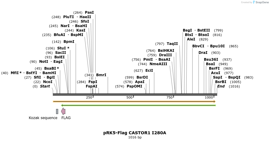 163591_map