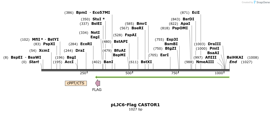 163597_map