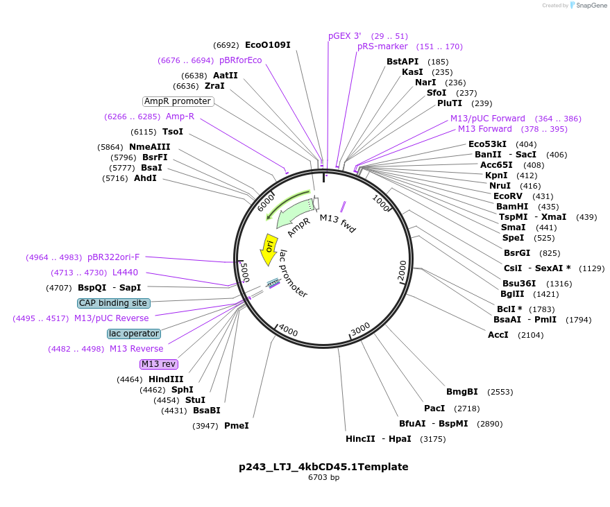 163600_map