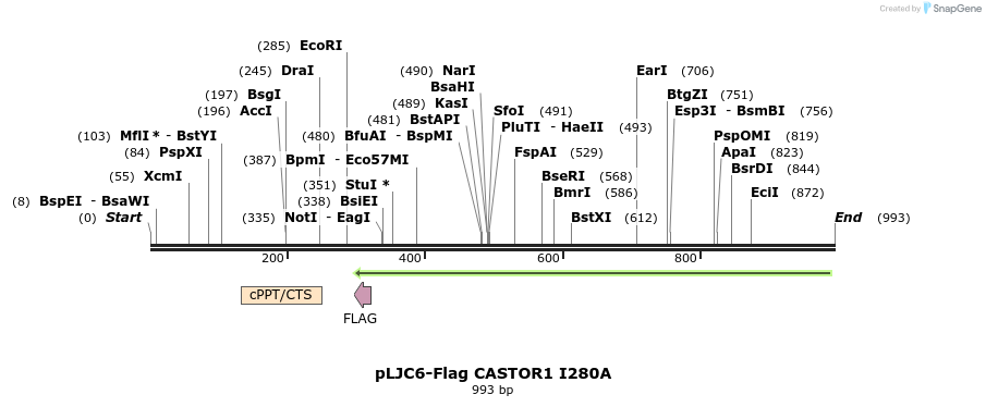 163621_map