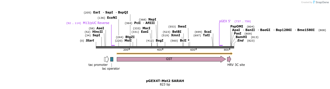 163660_map
