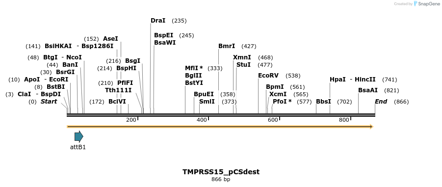 163682_map