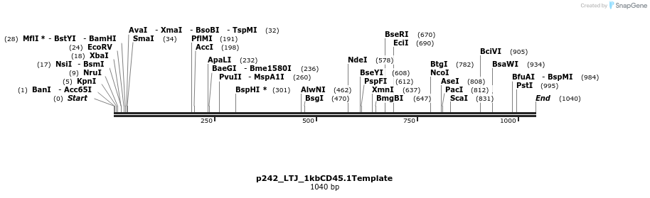 163687_map
