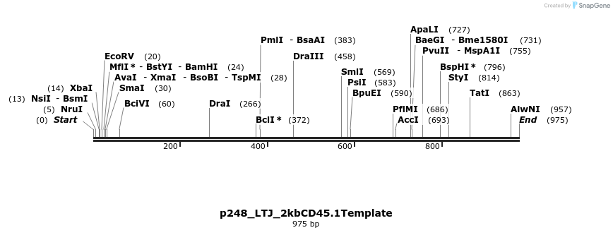 163691_map