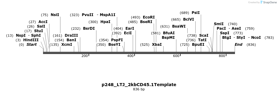 163693_map