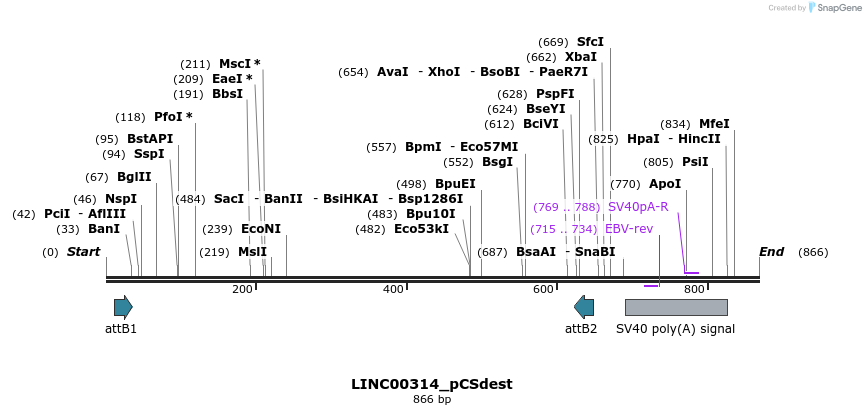 163698_map