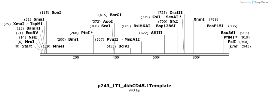 163701_map