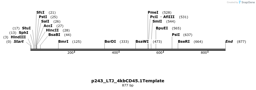 163704_map