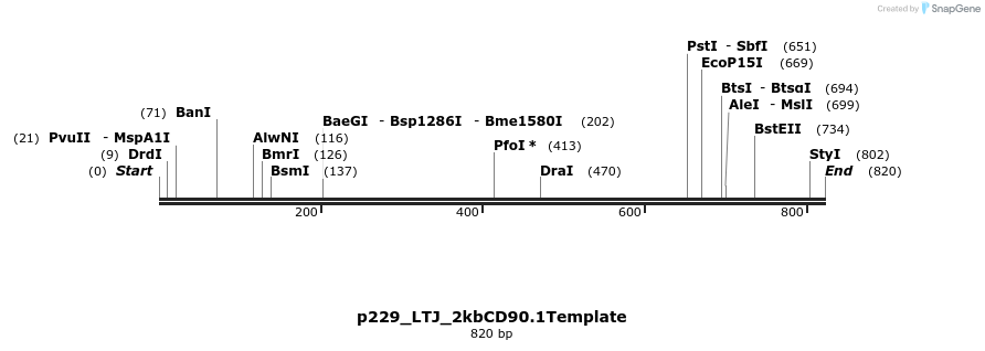 163713_map