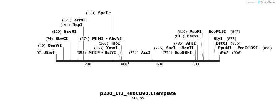 163716_map