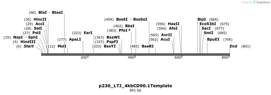 163717_map