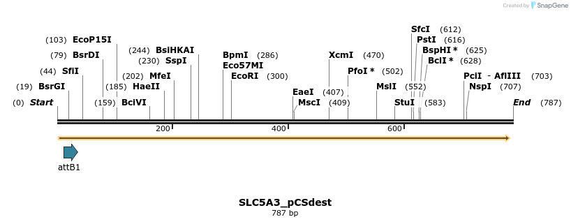 163718_map