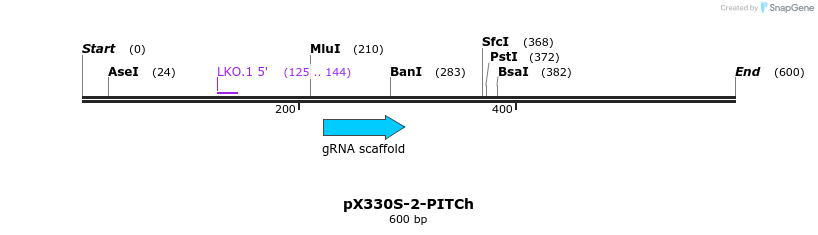 163736_map