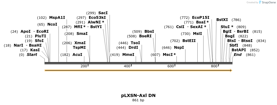 163740_map