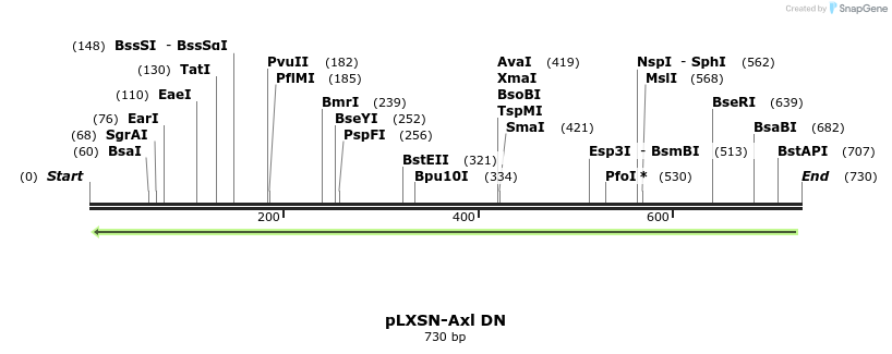 163741_map