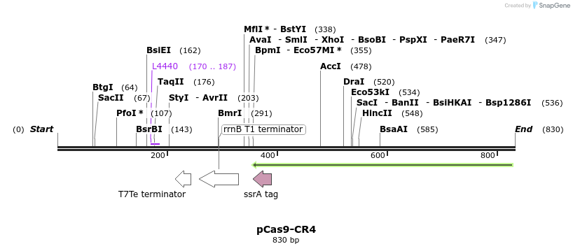 163743_map