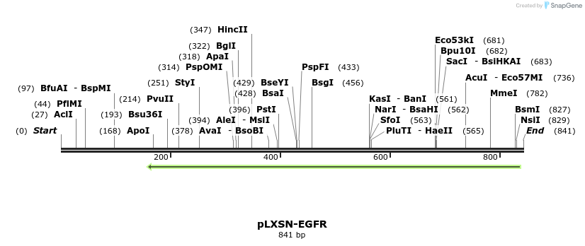 163748_map