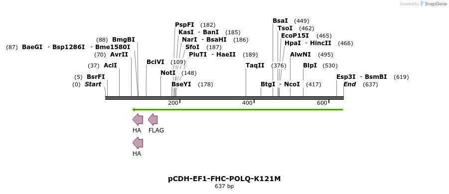 163751_map
