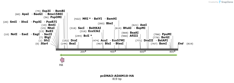 163754_map