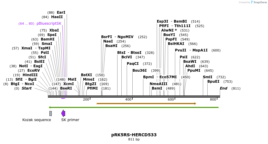 163765_map