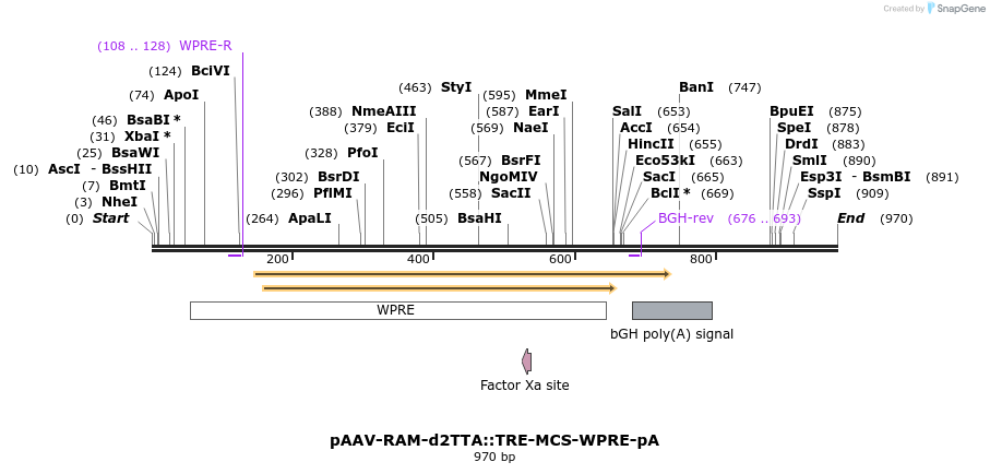 163774_map