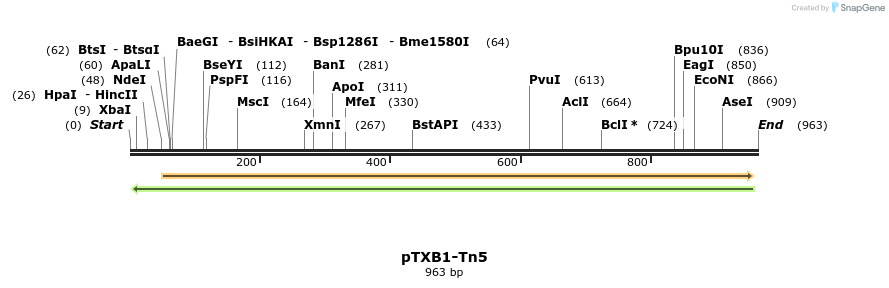 163776_map