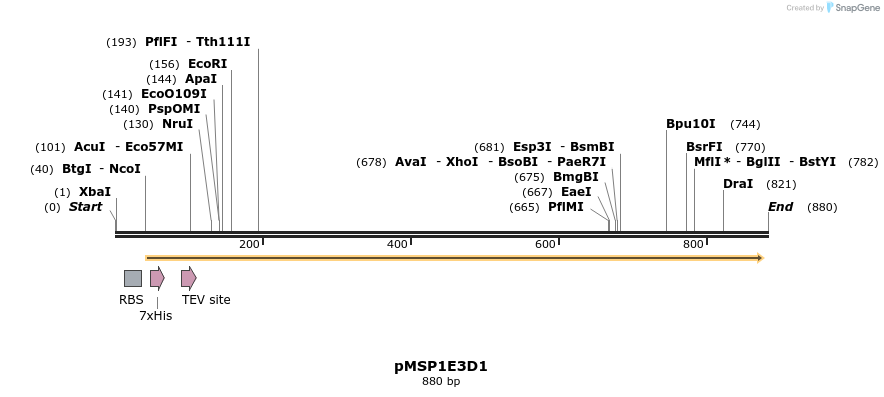 163836_map