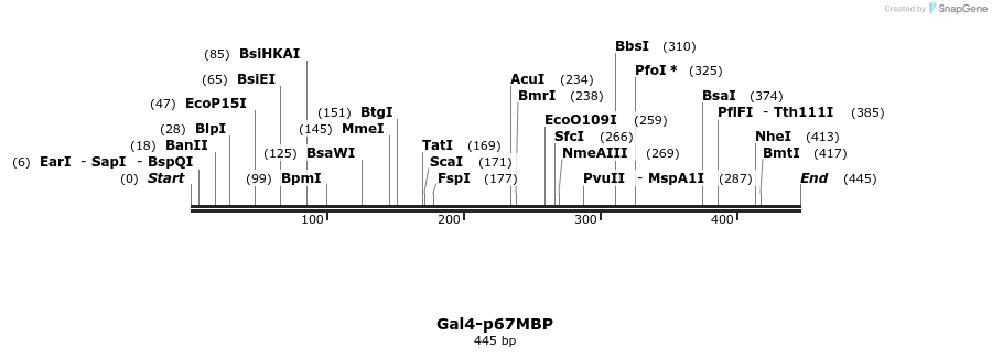 16386_map