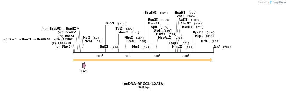 16388_map