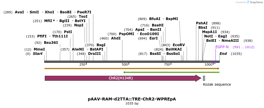163895_map