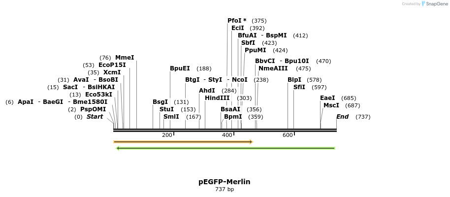 163899_map