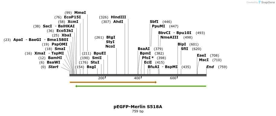 163905_map