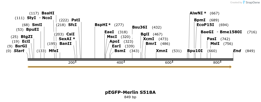 163906_map