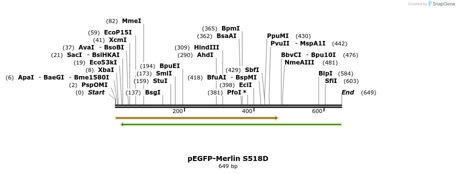 163909_map