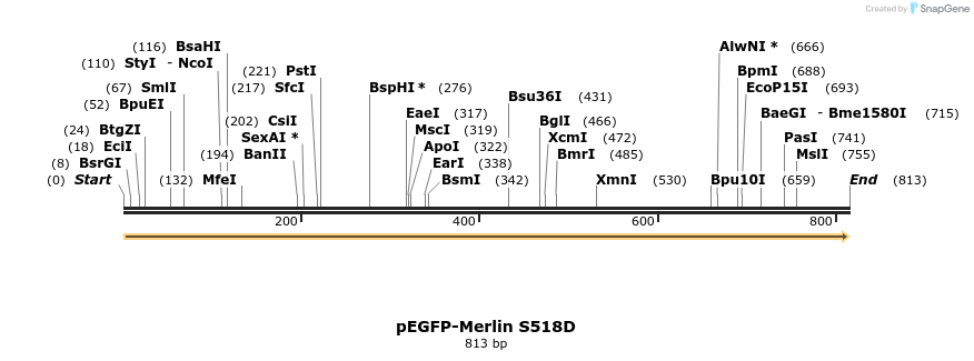 163910_map