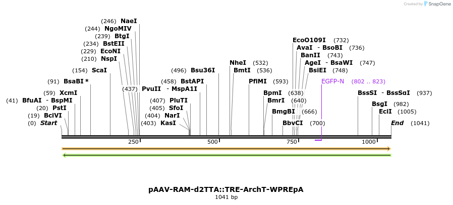 163913_map