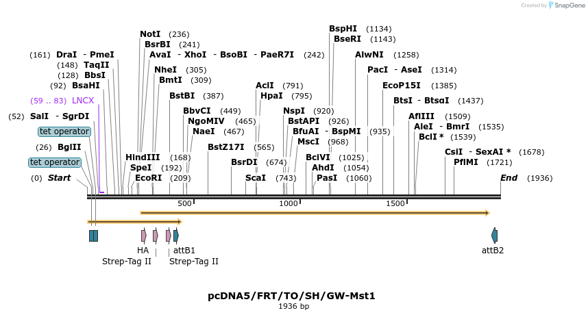 163921_map