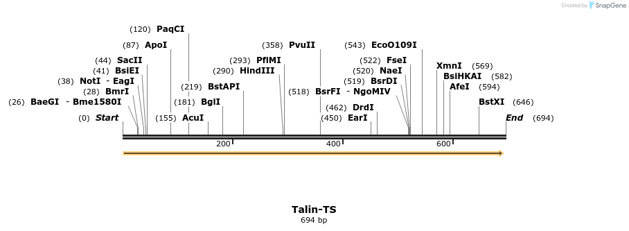 163931_map