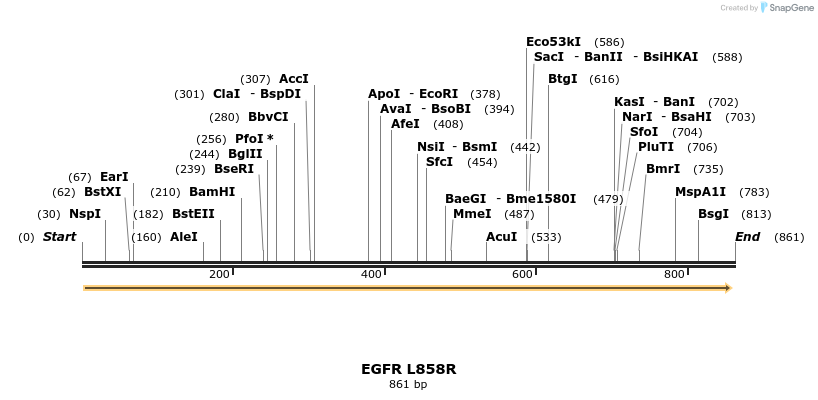 163950_map